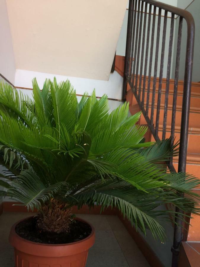 Casa Giuliano Apartment Pincara Luaran gambar